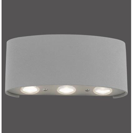 Paul Neuhaus 9488-21 - Вуличний настінний LED світильник CARLO 6xLED/0,8W/230V IP54