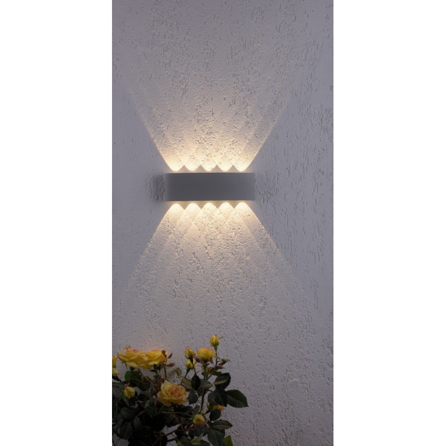 Paul Neuhaus 9489-21 - Вуличний настінний LED світильник CARLO 10xLED/0,8W/230V IP54