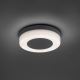 Paul Neuhaus 9490-13 - Вуличний LED світильник FABIAN LED/12,6W/230V IP54
