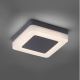 Paul Neuhaus 9491-13 - Светодиодный уличный светильник FABIAN LED/12,6W/230V IP54