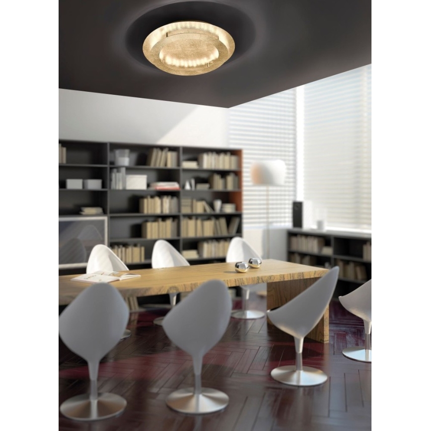 Paul Neuhaus 9621-12 - Стельовий LED світильник NEVIS LED/24W/230V