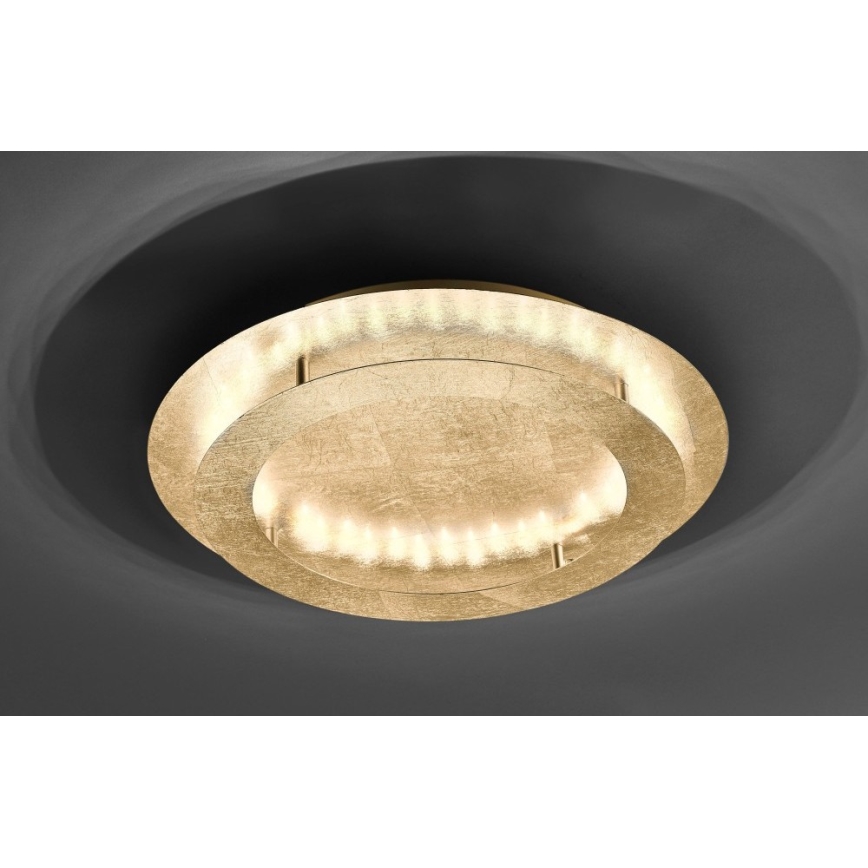 Paul Neuhaus 9621-12 - Стельовий LED світильник NEVIS LED/24W/230V