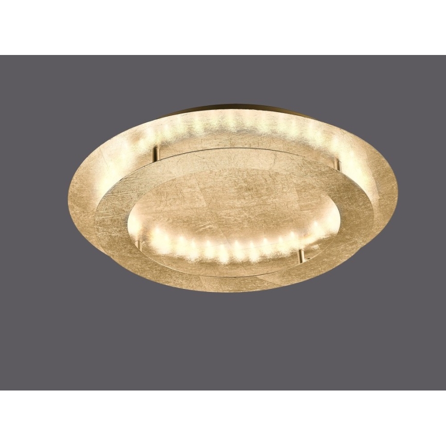 Paul Neuhaus 9621-12 - Стельовий LED світильник NEVIS LED/24W/230V