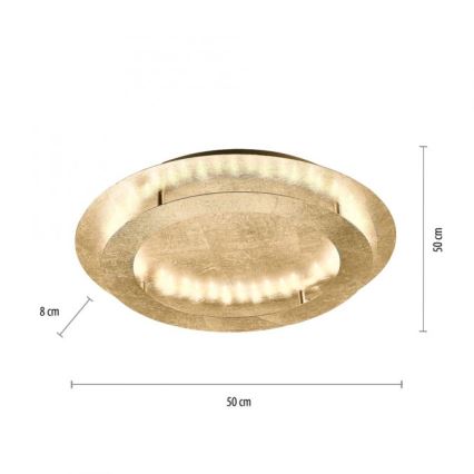 Paul Neuhaus 9621-12 - Стельовий LED світильник NEVIS LED/24W/230V