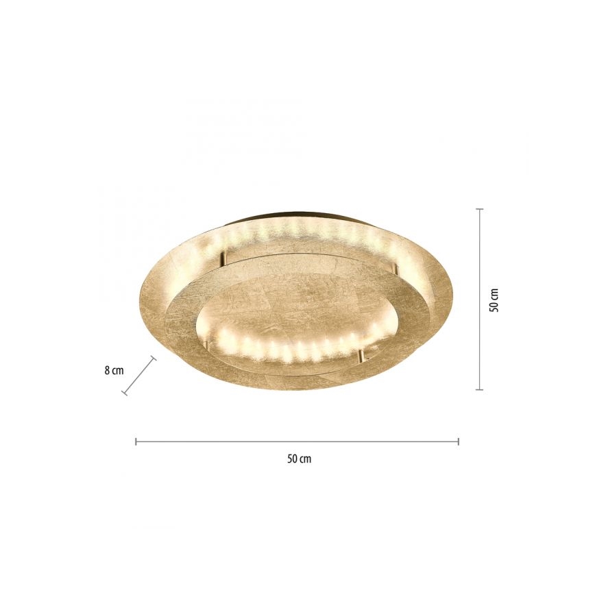 Paul Neuhaus 9621-12 - Стельовий LED світильник NEVIS LED/24W/230V