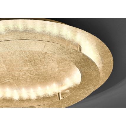 Paul Neuhaus 9621-12 - Светодиодный потолочный светильник NEVIS LED/24W/230V