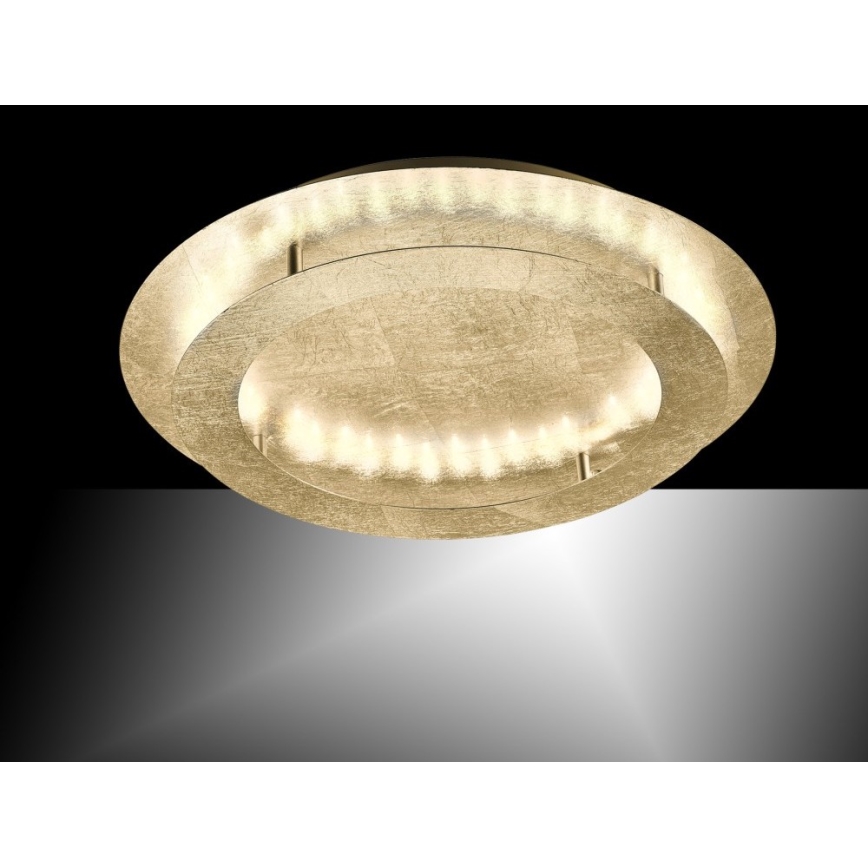 Paul Neuhaus 9621-12 - Светодиодный потолочный светильник NEVIS LED/24W/230V