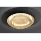 Paul Neuhaus 9621-12 - Светодиодный потолочный светильник NEVIS LED/24W/230V