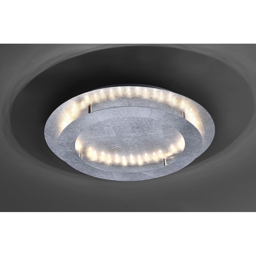 Paul Neuhaus 9621-21 - Стельовий LED світильник NEVIS LED/24W/230V