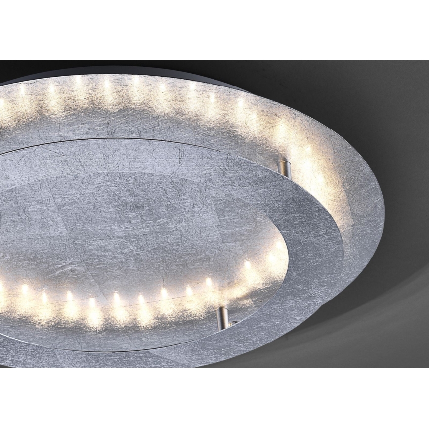 Paul Neuhaus 9621-21 - Стельовий LED світильник NEVIS LED/24W/230V