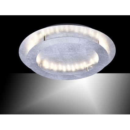 Paul Neuhaus 9621-21 - Светодиодный потолочный светильник NEVIS LED/24W/230V