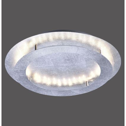 Paul Neuhaus 9621-21 - Светодиодный потолочный светильник NEVIS LED/24W/230V