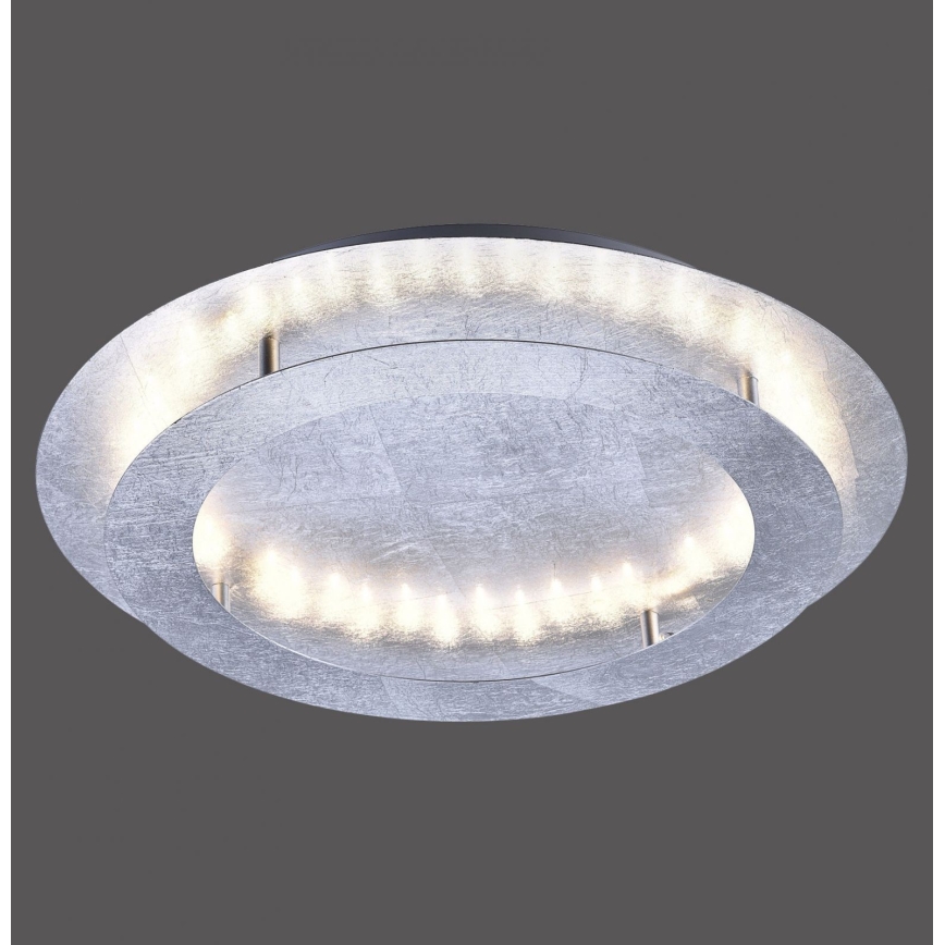 Paul Neuhaus 9621-21 - Светодиодный потолочный светильник NEVIS LED/24W/230V