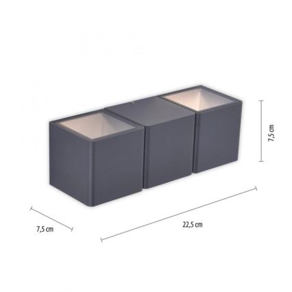 Paul Neuhaus 9658-13 - Вуличний настінний LED світильник MARCEL 2xLED/4W/230V IP54