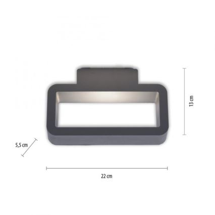 Paul Neuhaus 9668-13 - Вуличний настінний LED світильник HENDRIK LED/5,2W/230V IP54