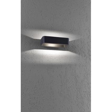 Paul Neuhaus 9668-13 - Вуличний настінний LED світильник HENDRIK LED/5,2W/230V IP54