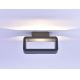 Paul Neuhaus 9668-13 - Вуличний настінний LED світильник HENDRIK LED/5,2W/230V IP54