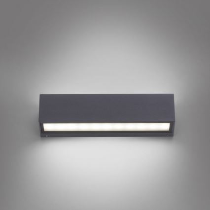Paul Neuhaus 9675-13 - Вуличний настінний LED світильник ROBERT 2xLED/9W/230V IP65