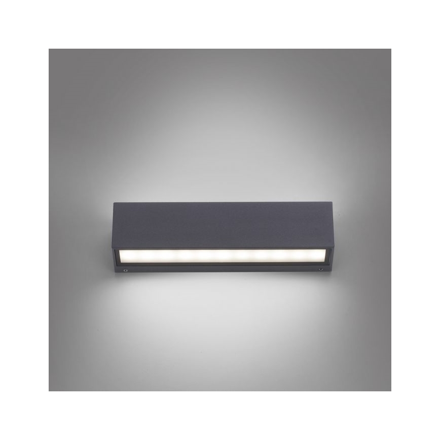 Paul Neuhaus 9675-13 - Вуличний настінний LED світильник ROBERT 2xLED/9W/230V IP65