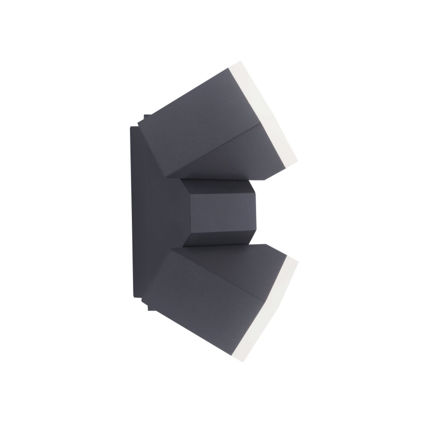 Paul Neuhaus 9722-13 - Вуличний настінний LED світильник RYAN 2xLED/5W/230V IP54