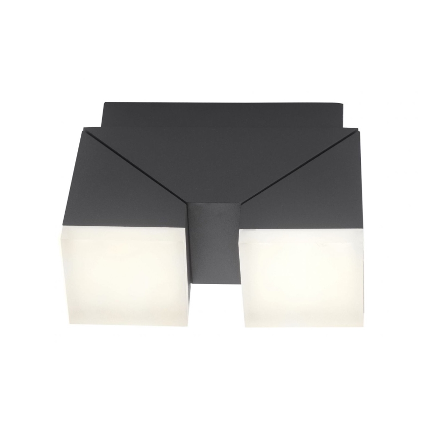 Paul Neuhaus 9722-13 - Вуличний настінний LED світильник RYAN 2xLED/5W/230V IP54