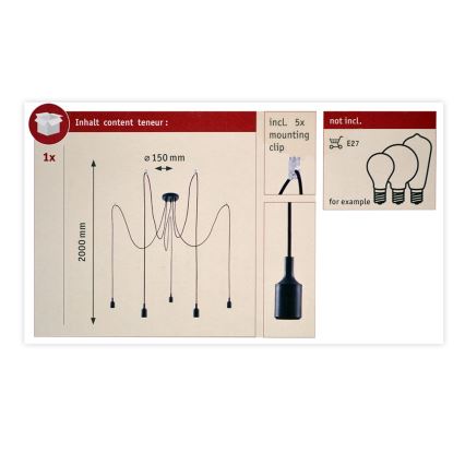 Paulmann 50389 - Подвесная люстра NEORDIC 5xE27/20W/230V паук