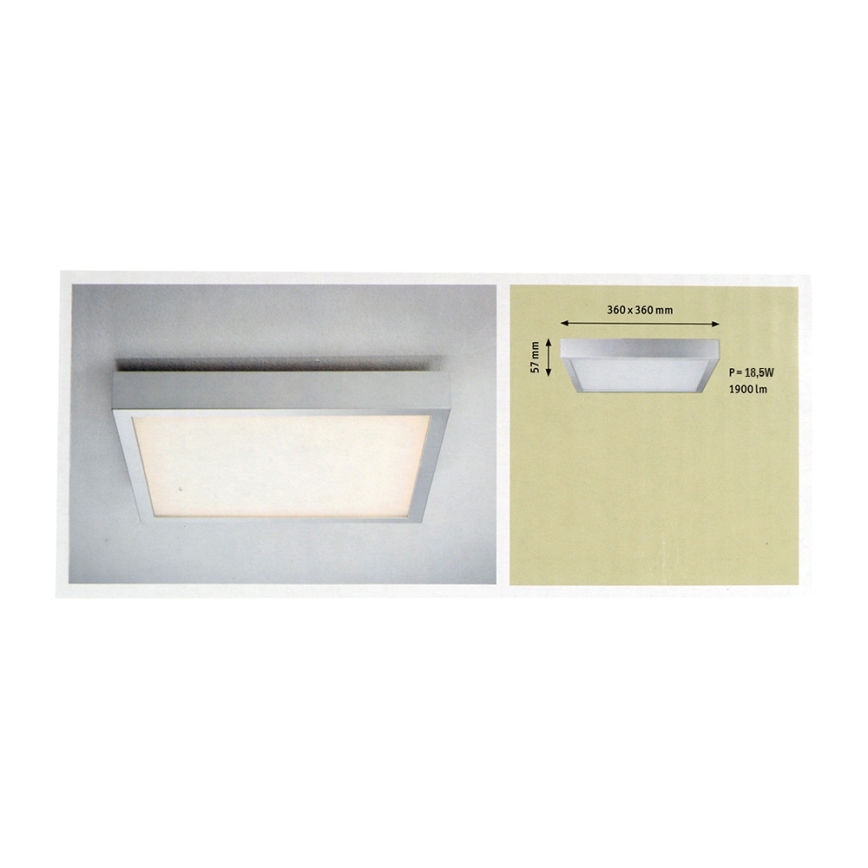 Paulmann 70385 - Світлодіодний стельовий світильник SPACE 1xLED/18,5W/230V