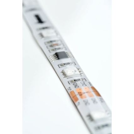 Paulmann 70481 - LED RGBW/9,6W Стрічка з регулюванням яскравості DIGITAL 3 м 230V + пульт дистанційного керування