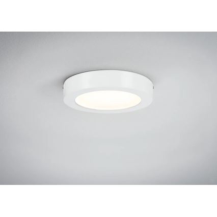 Paulmann 70642 - LED/12,5W Стельовий світильник LUNAR 230V діаметр 22,5 см білий