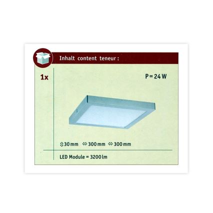 Paulmann 70982 - Потолочный светильник ABIA 230V LED/22W