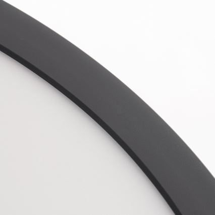 Paulmann 70984 - Потолочный светильник ABIA 230V LED/22W