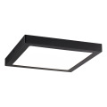 Paulmann 70985 - LED/22W Стельовий світильник ABIA 230V