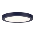Paulmann 70986  - LED/22W Стельовий світильник ABIA 230V темно-синій