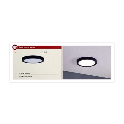 Paulmann 70986  - LED/22W Стельовий світильник ABIA 230V темно-синій