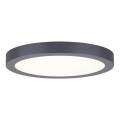 Paulmann 70988 - LED/22W Потолочный светильник ABIA 230V антрацит