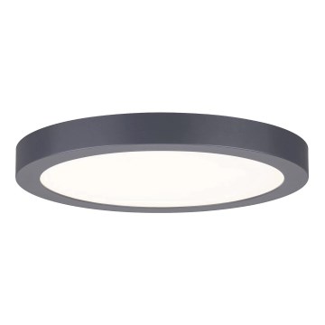Paulmann 70988 - LED/22W Стельовий світильник ABIA 230V антрацит