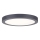 Paulmann 70988 - LED/22W Стельовий світильник ABIA 230V антрацит