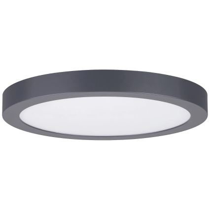 Paulmann 70988 - LED/22W Стельовий світильник ABIA 230V антрацит