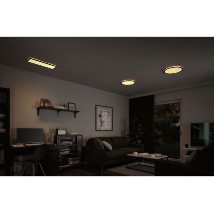 Paulmann 70999 - LED/22W Панель з регулюванням яскравості ATRIA 230V 3000K діаметр 42 см чорний