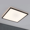Paulmann 71002 - LED/22W Панель с регулированием яркости ATRIA 230V 3000K 42x42 см черный