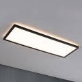 Paulmann 71003 - LED/22W Панель с регулированием яркости ATRIA 230V 3000K 20x58 см черный