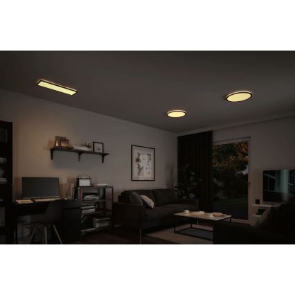 Paulmann 71003 - LED/22W Панель з регулюванням яскравості ATRIA 230V 3000K 20x58 см чорний