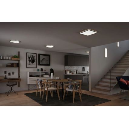 Paulmann 71009 - LED/22W Панель с регулированием яркости ATRIA 230V 4000K 42x42 см матовый хром