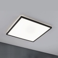 Paulmann 71016 - LED/22W Панель с регулированием яркости ATRIA 230V 4000K 42x42 см черный