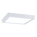Paulmann 71022 - LED/22W Потолочный светильник ABIA 230V белая