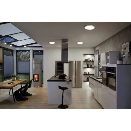 Paulmann 71023 - LED/22W Потолочный светильник ABIA 230V матовый хром