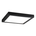 Paulmann 71026 - LED/22W Потолочный светильник ABIA 230V черная