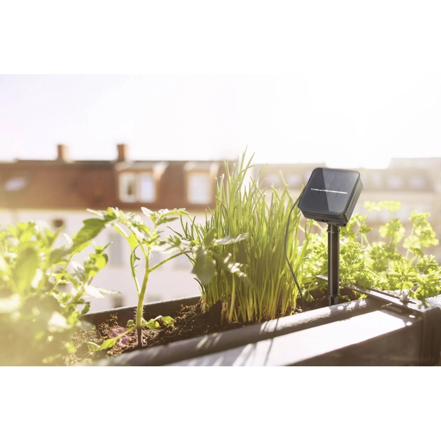 Paulmann 78896 - LED/0,3 Вт IP44 Сонячна стрічка 3 м 1,2 В 1000 мАг