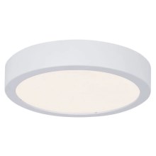 Paulmann 78923 - LED/13W IP44 Потолочный светильник для ванной комнаты с регулированием яркости AVIAR 230V