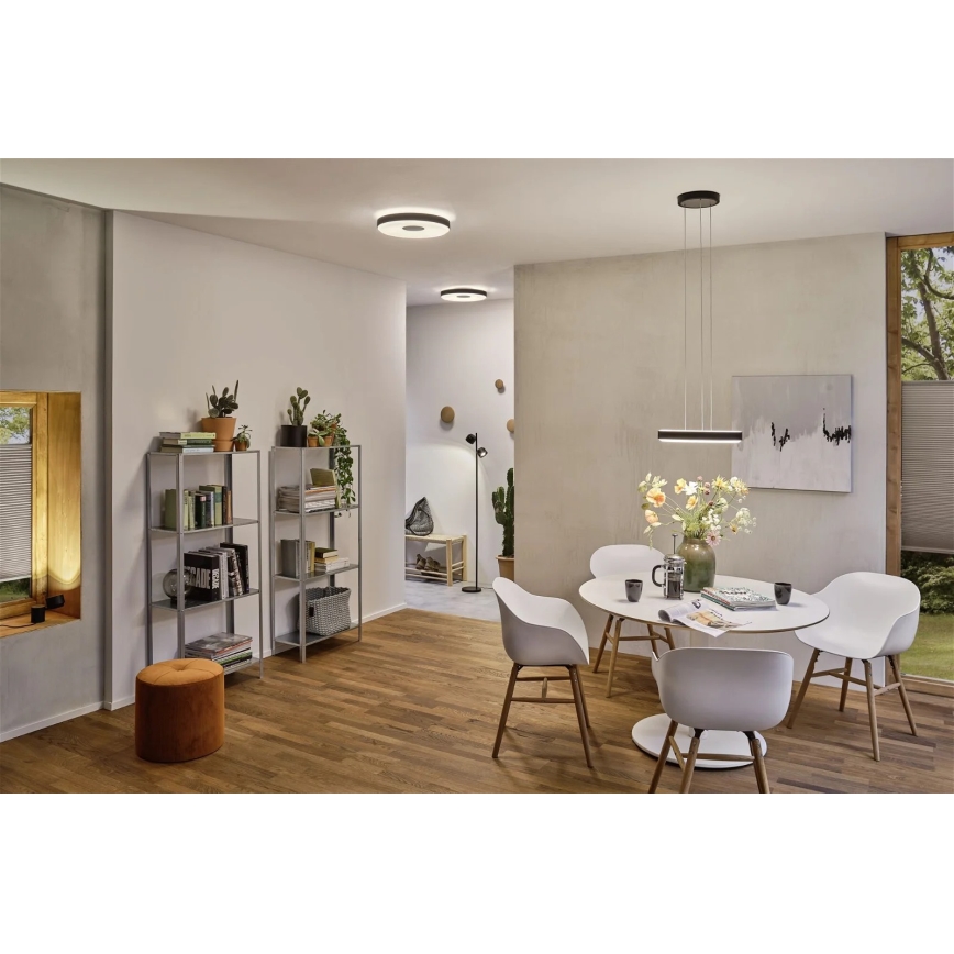 Paulmann 79518 - LED/23W Стельовий світильник з регулюванням яскравості PURIC PANE 230V